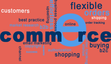 e-commerce punjab